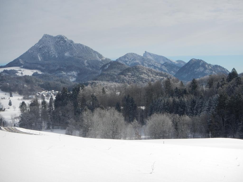 Ferienwohnung Nahe Fuschlsee, Hof Bei Salzburg Luaran gambar