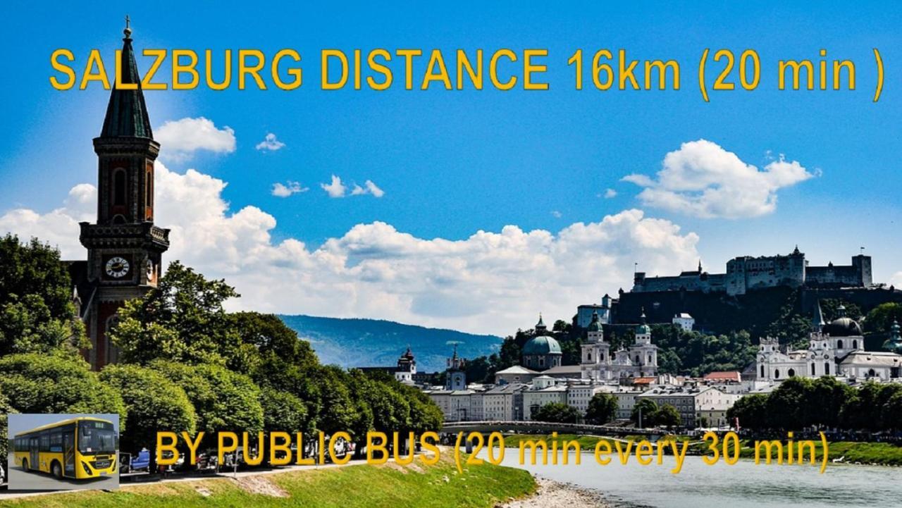 Ferienwohnung Nahe Fuschlsee, Hof Bei Salzburg Luaran gambar